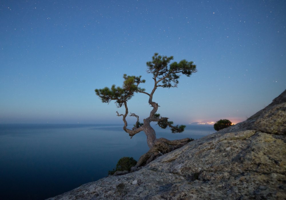 Photograph by Alexander Plekhanov