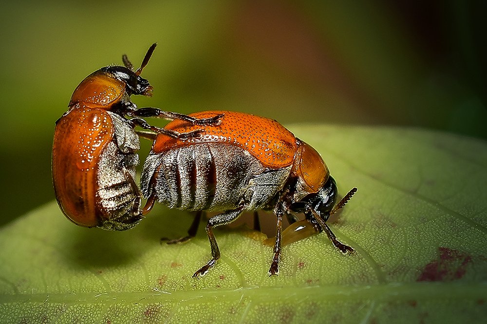 Photograph by Sandeep Priyadarshi