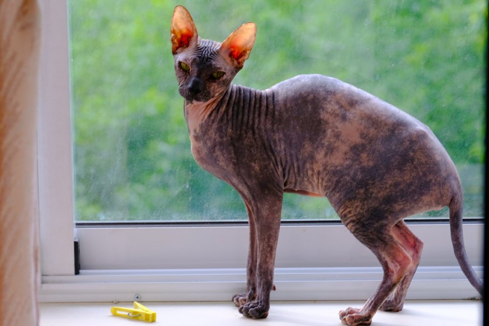 Photograph by Татьяна Ефименко