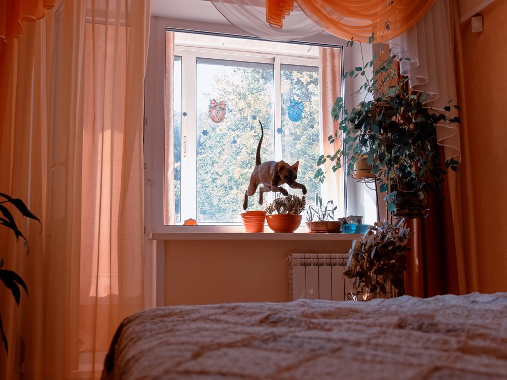 Photograph by Татьяна Ефименко