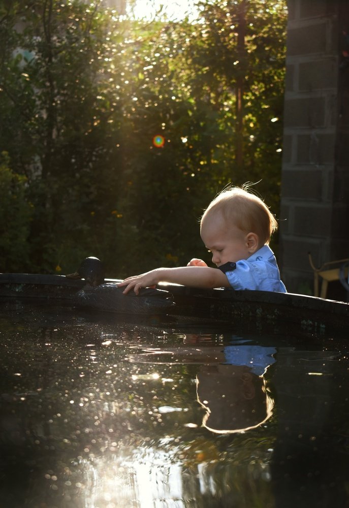 В лучах уходящего лета