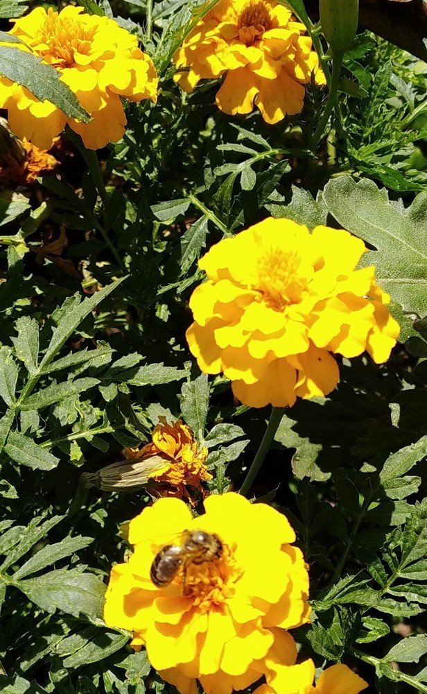 Photograph by Анна Дорошенко