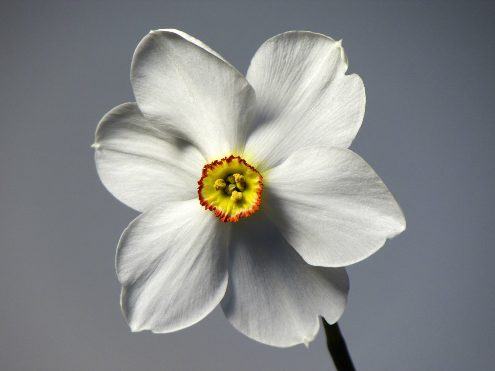 Photograph by Диана