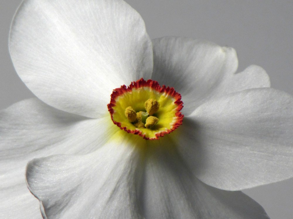 Photograph by Диана