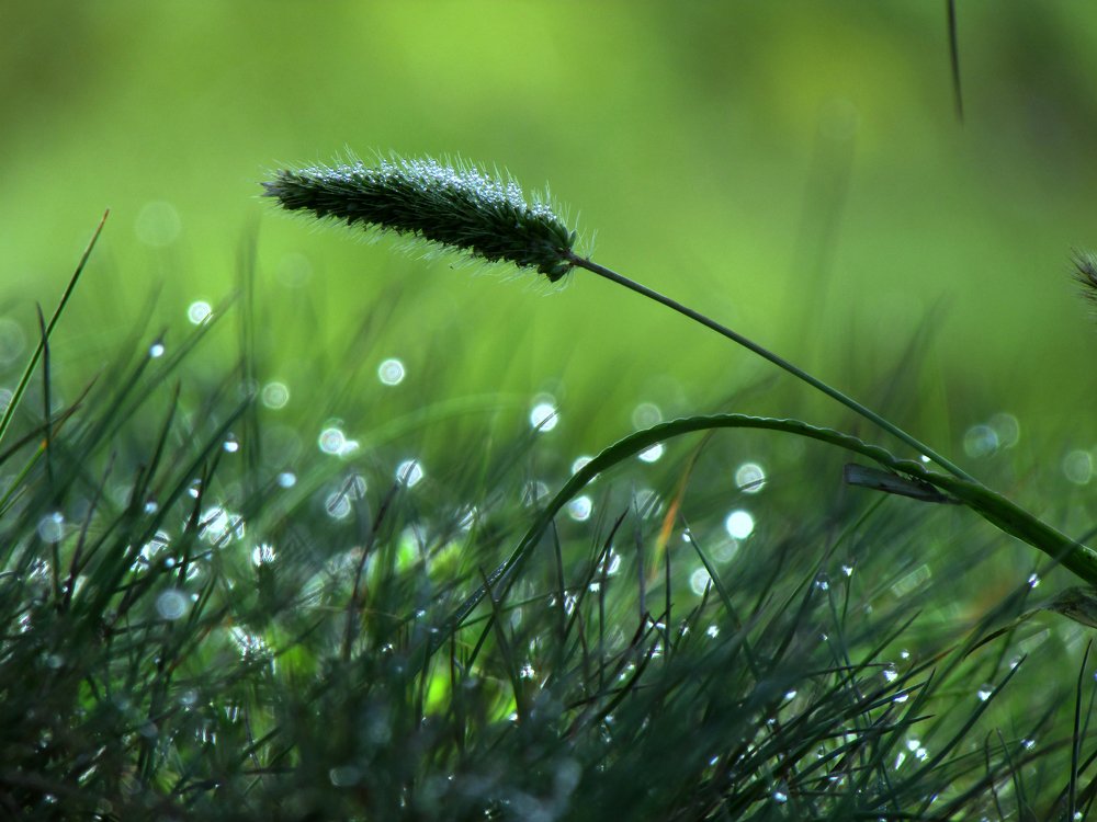 Photograph by Диана