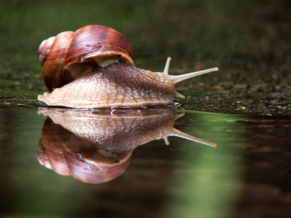 Photograph by Диана