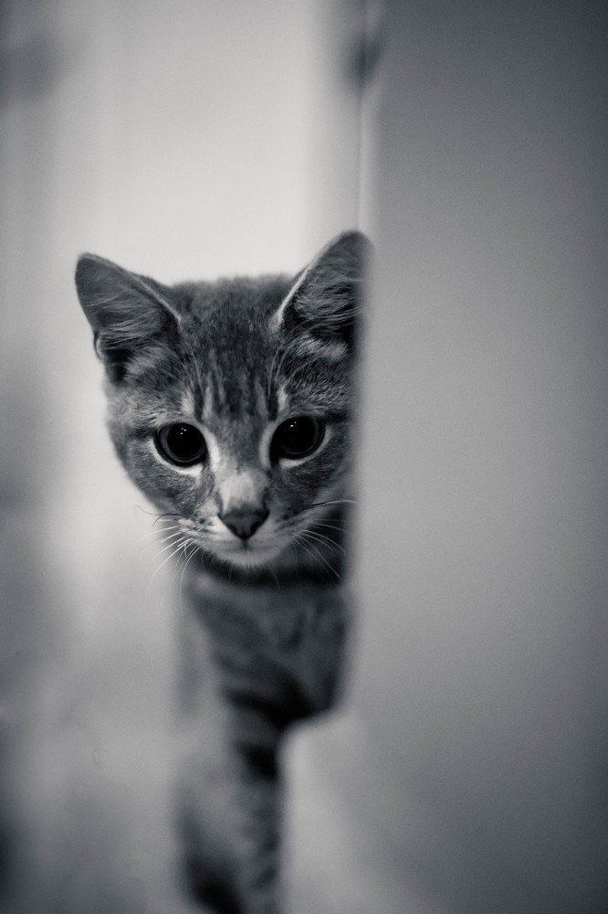 Фотография автора Daniel Kunyu