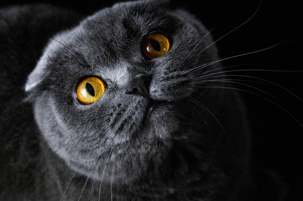 Photograph by Танюша