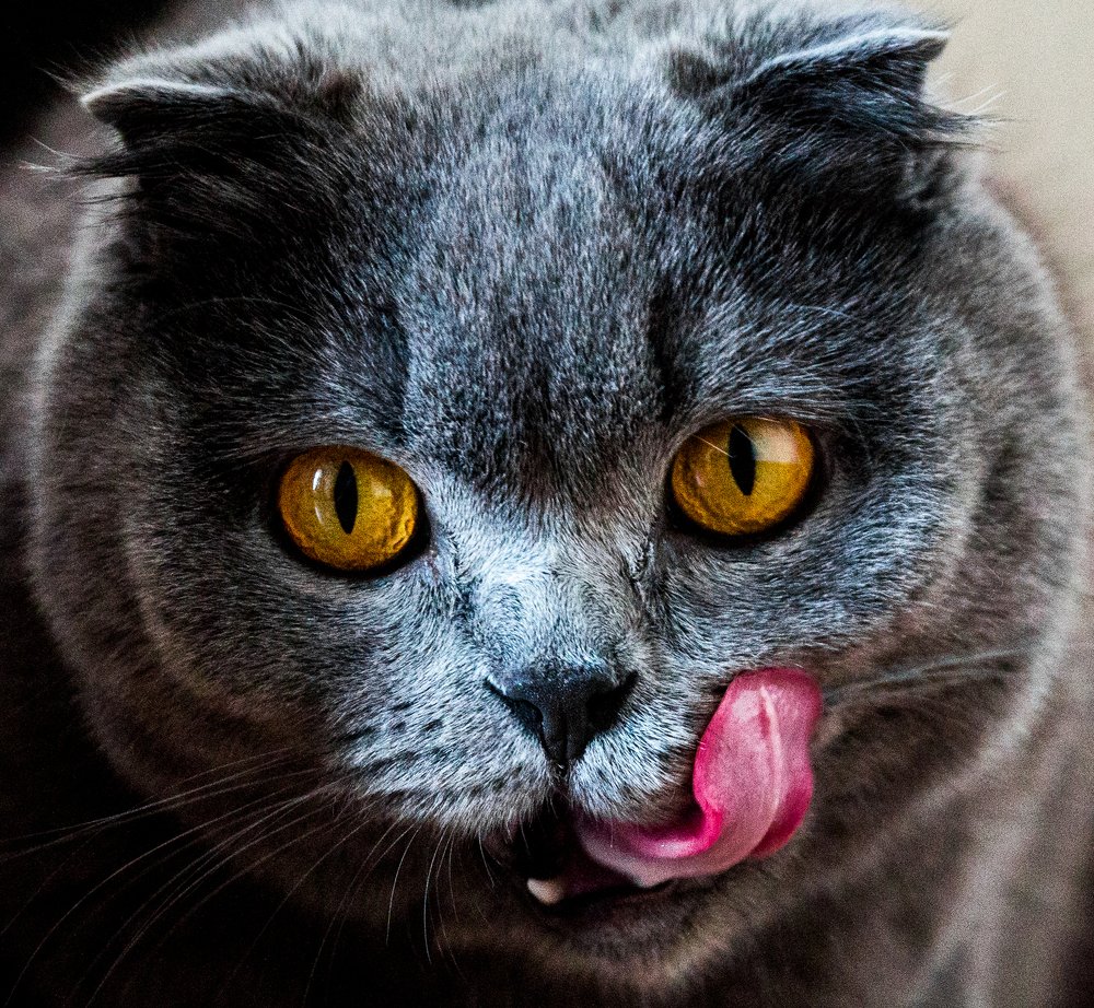 Photograph by Танюша