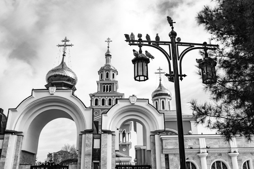 Photograph by Виталий Куприянов