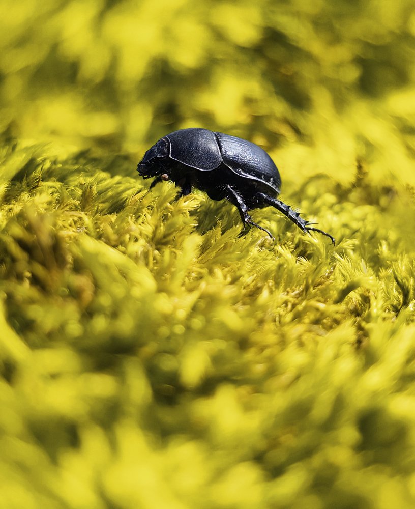 Photograph by Mohammad Dadsetan