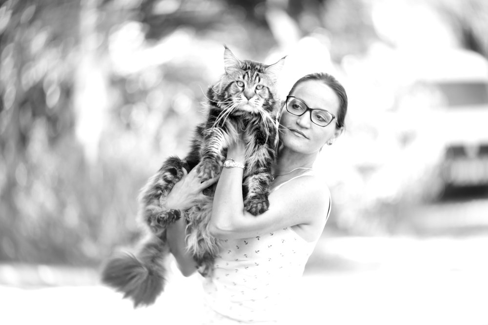 The waltz of my beauties