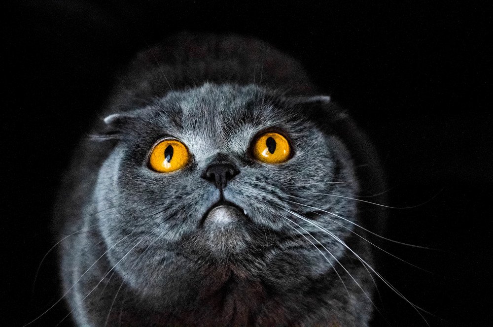 Photograph by Танюша