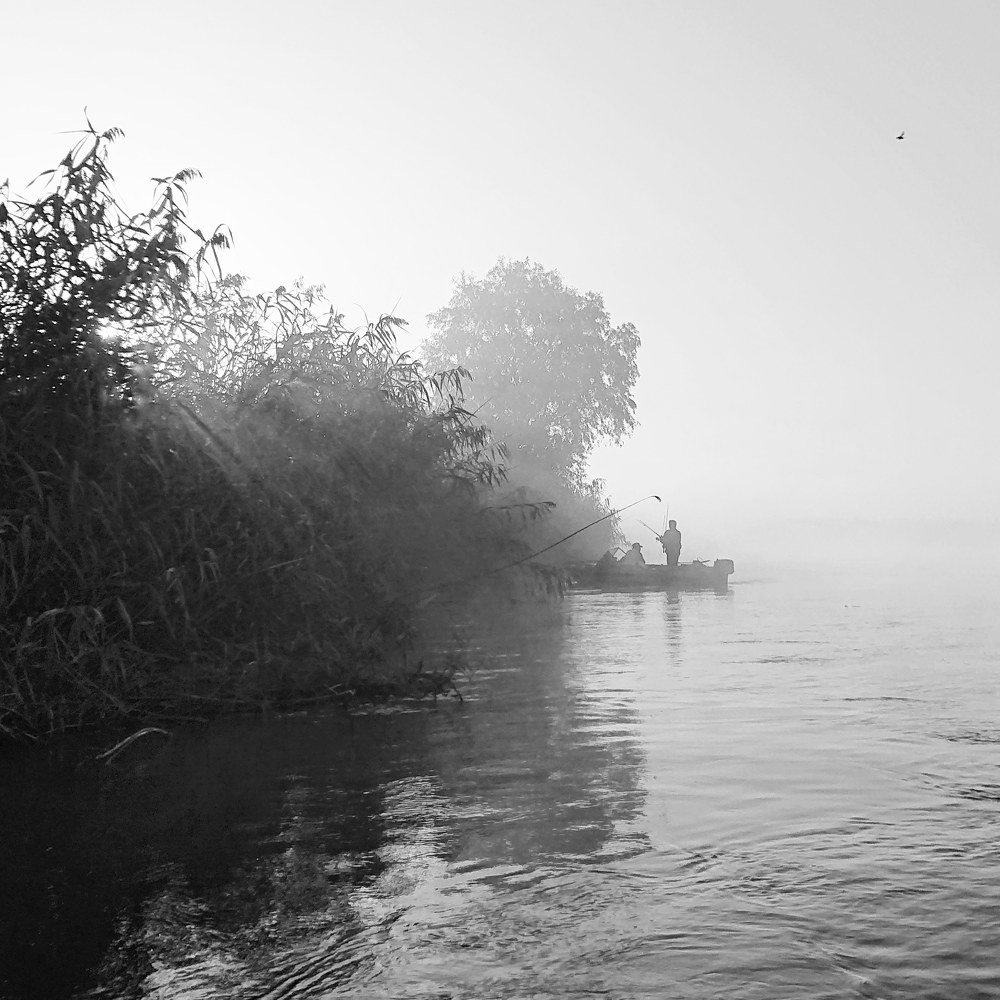 Photograph by Алексей Новиков