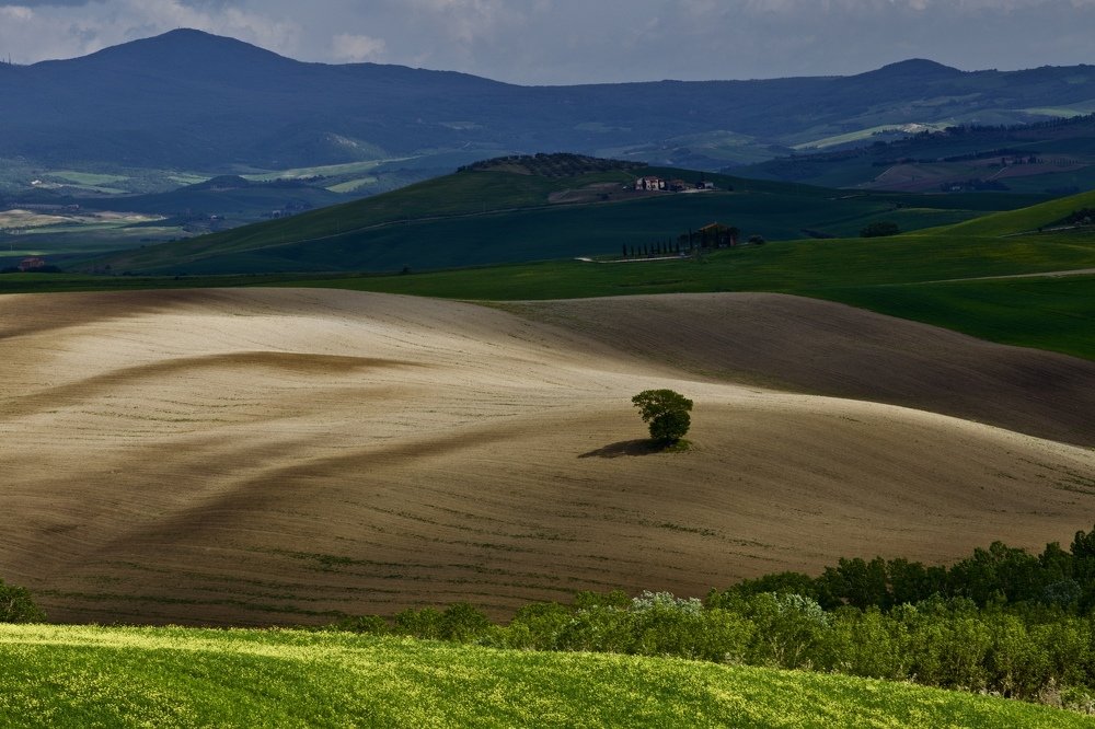 Photograph by Наталия Шибаева