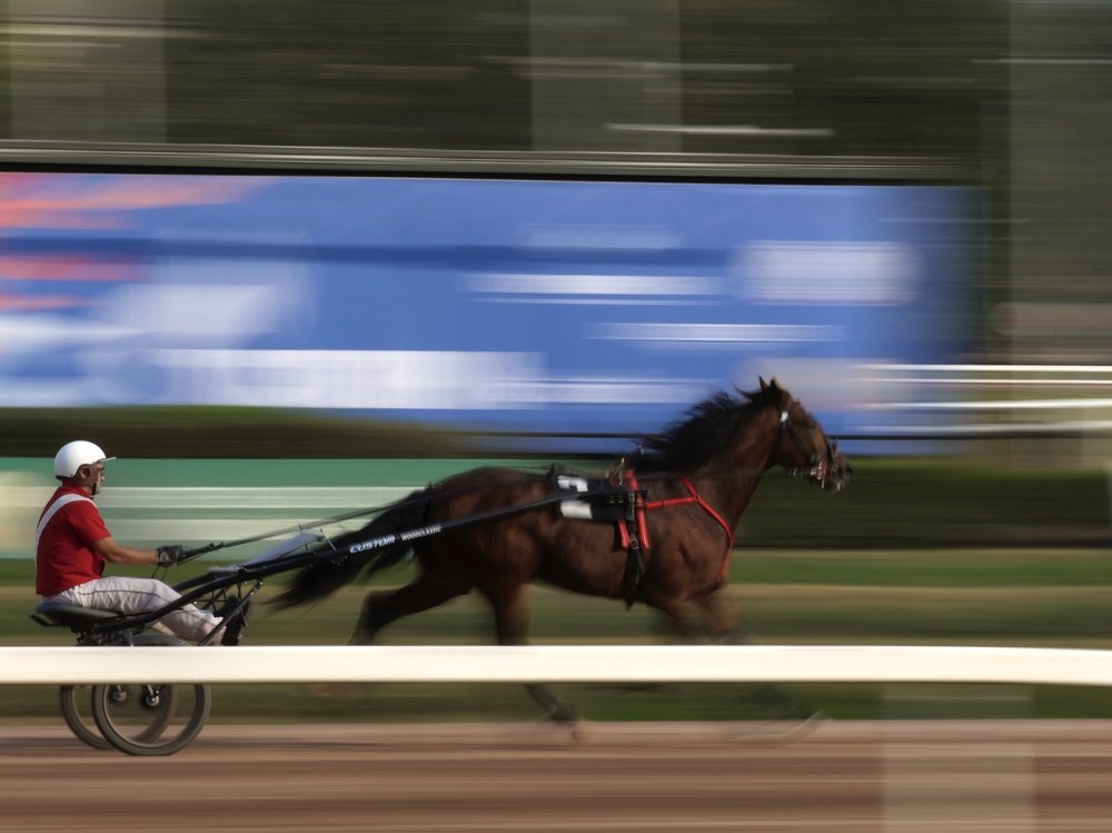 Photograph by Наталия Шибаева