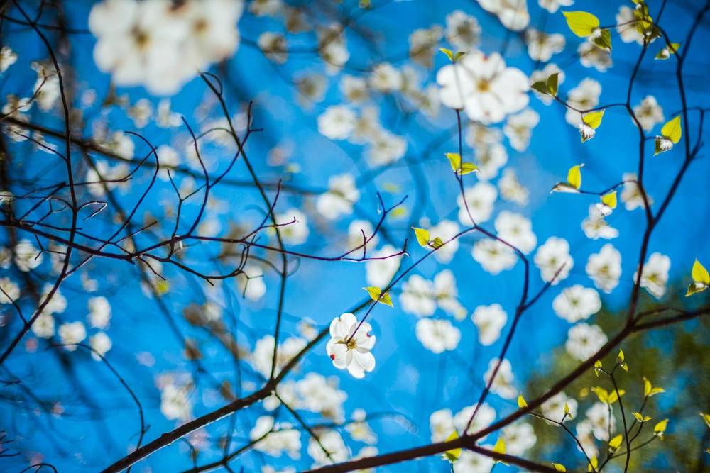 Photograph by SUSMITA SARDAR