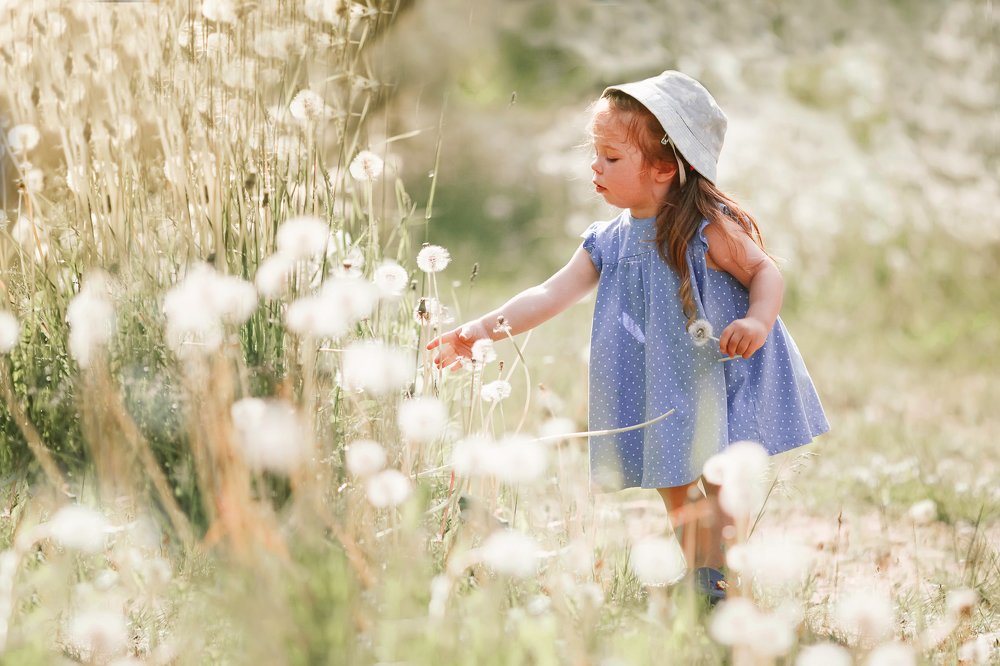 Одуванчиковое лето