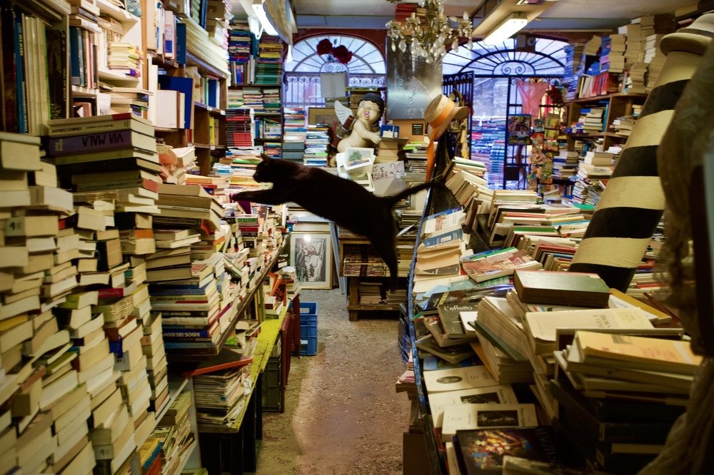 Photograph by Наталия Шибаева