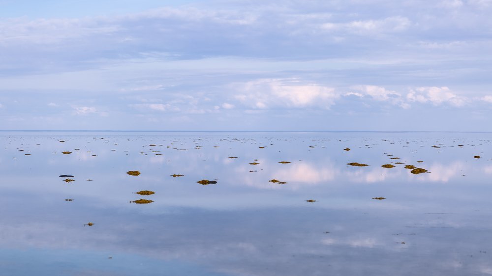 Photograph by Alla Fedina