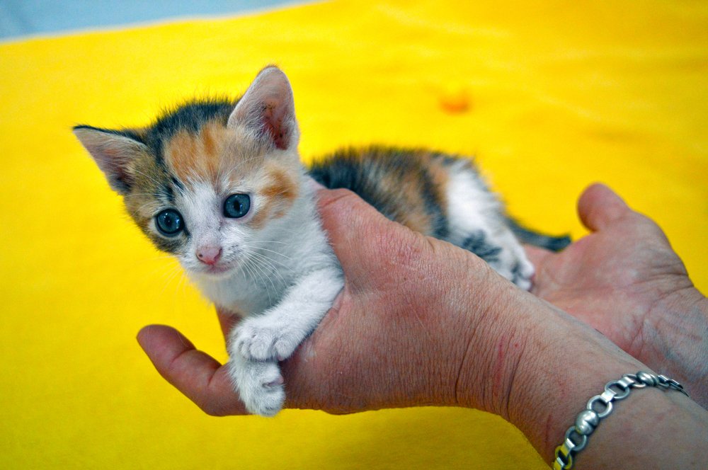 Photograph by Nicki Evtimova