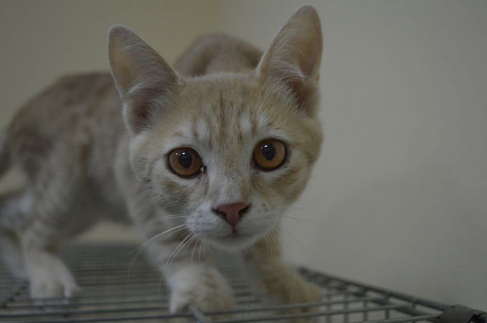 Photograph by Nicki Evtimova