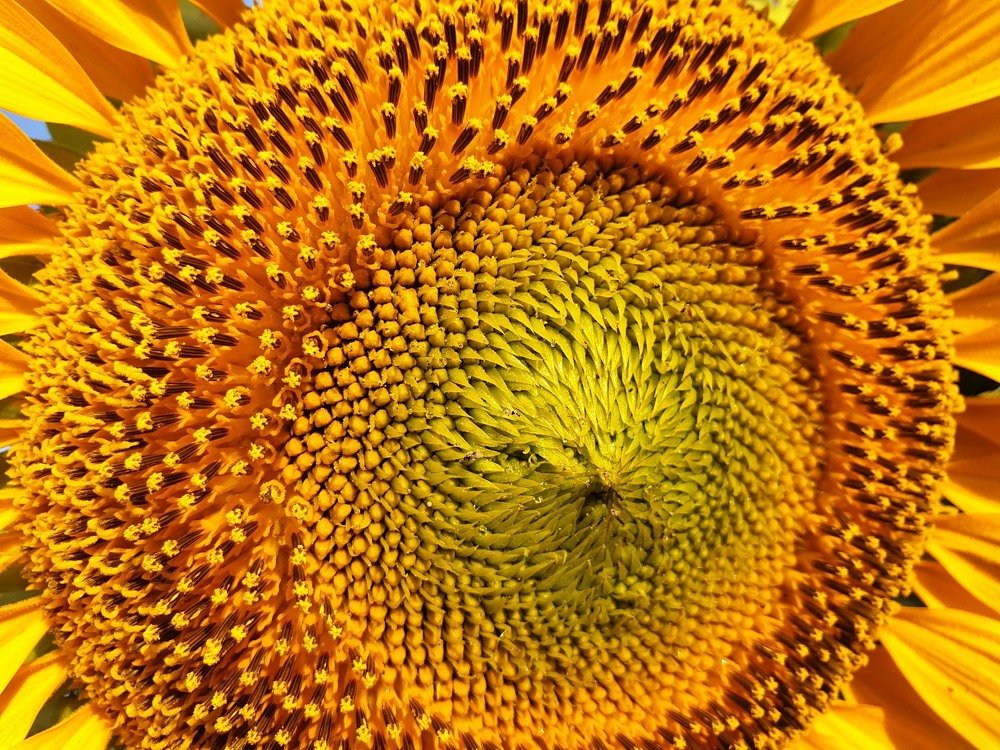 Photograph by Mariana Kiriakov