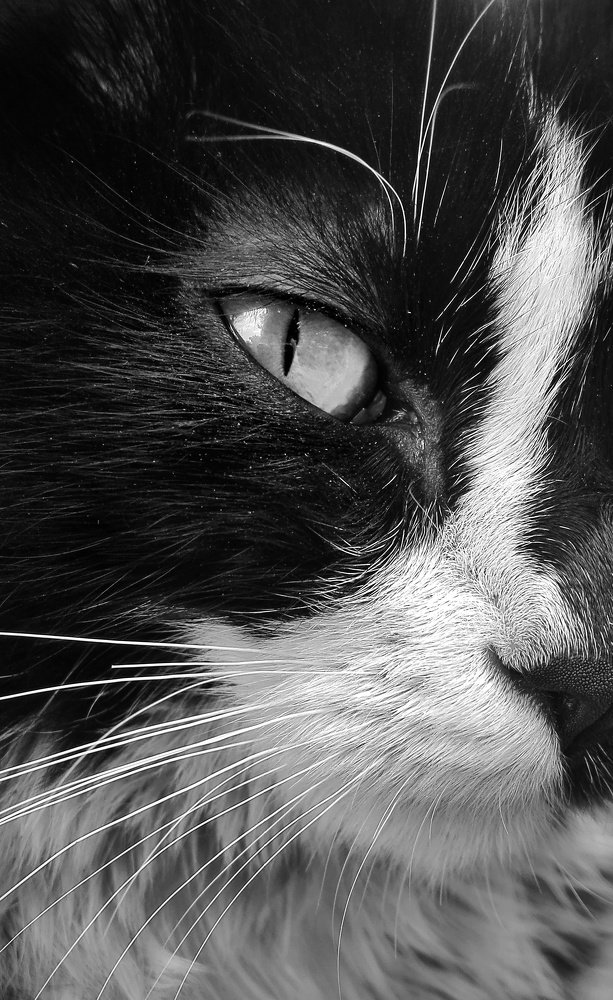 Photograph by Atiyeh Bakhshi