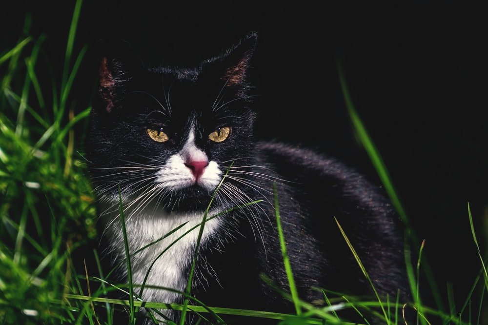 Подумать надо.