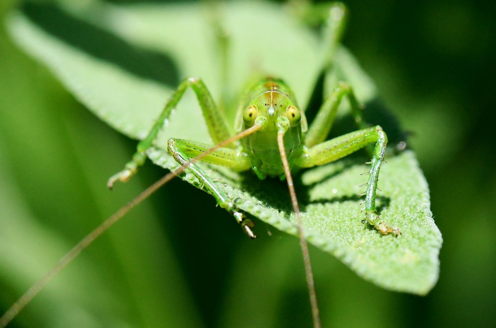 Photograph by Людмила Шалина
