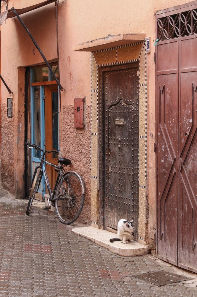 Photograph by Владимир Леликов