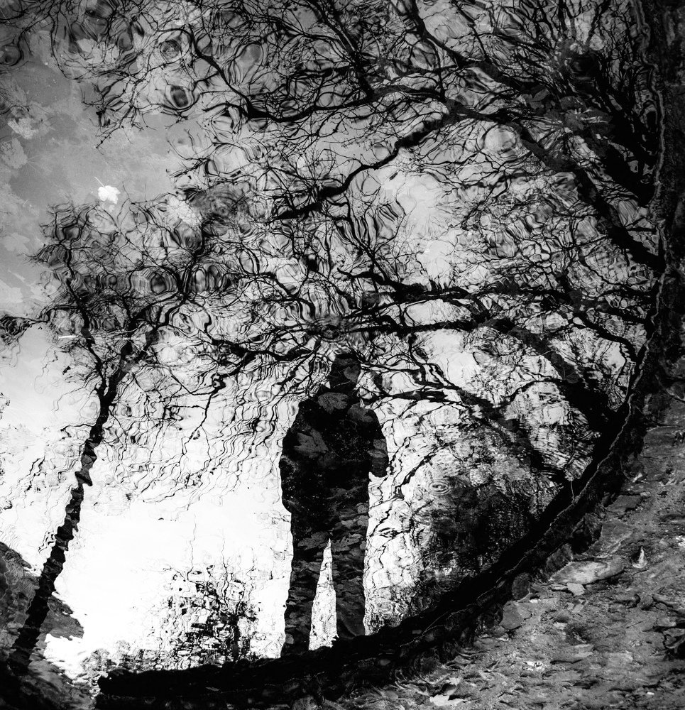 Photograph by Abolfazl Jafarian