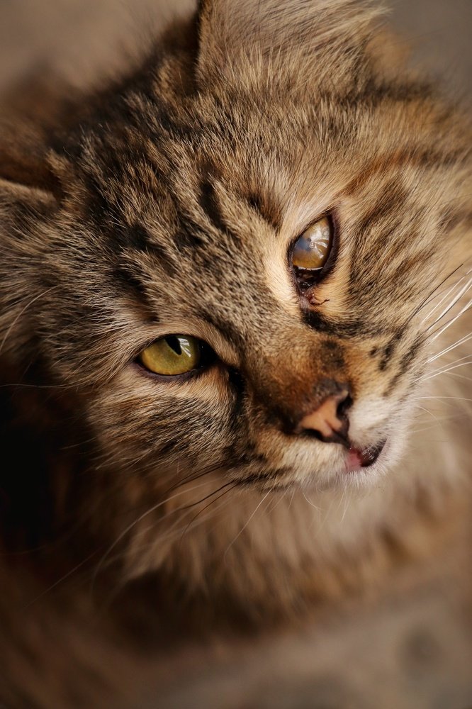 Photograph by Atiyeh Bakhshi