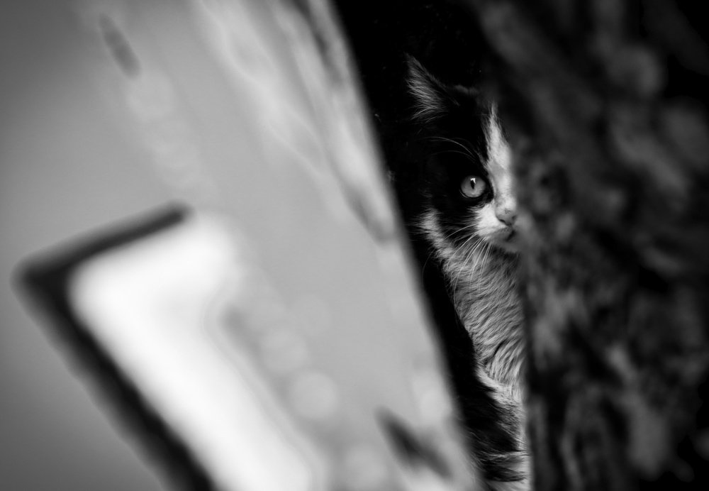 Photograph by Atiyeh Bakhshi