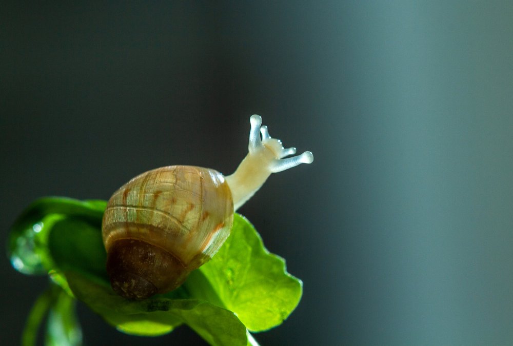 Photograph by Анна Малютина