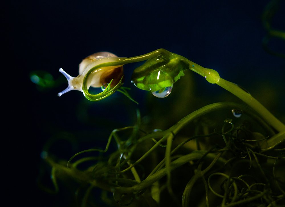 Photograph by Анна Малютина