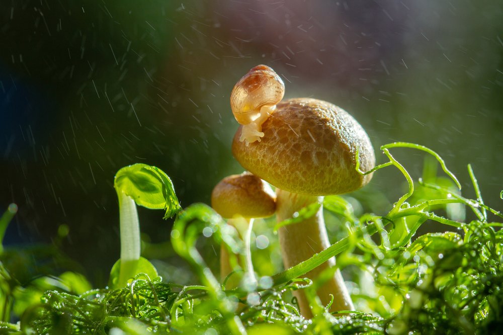 Photograph by Анна Малютина