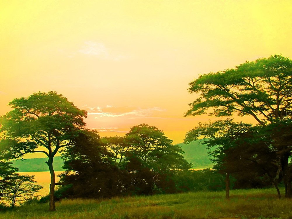 Photograph by Юрий Подвойский