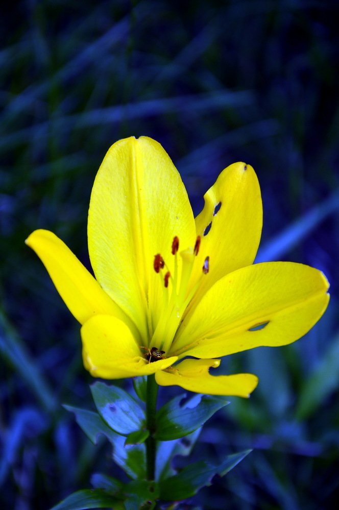 Photograph by Юрий Подвойский