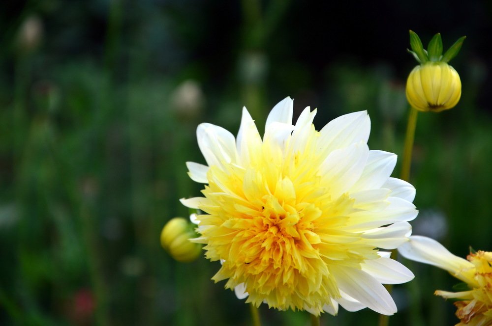 Photograph by Юрий Подвойский