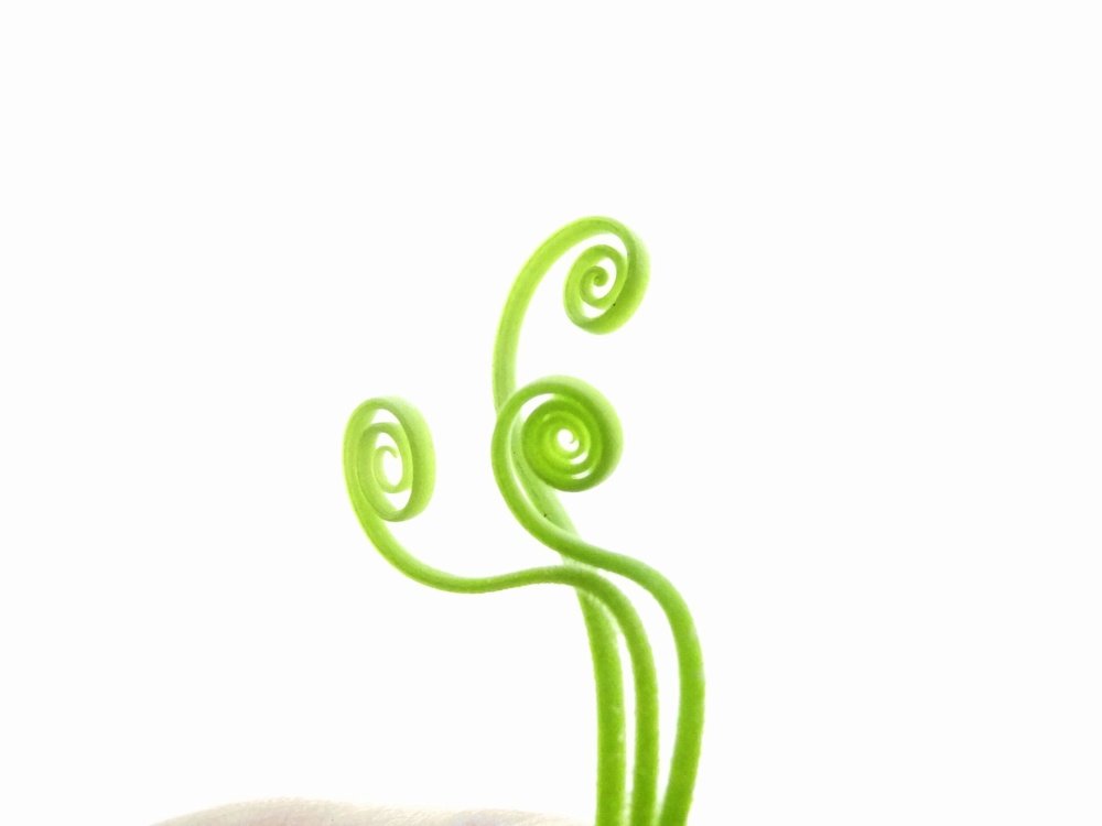 Photograph by Стефанова Татьяна