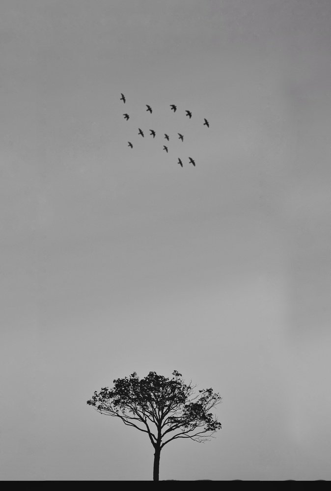 Photograph by Zakarya Ghazizadeh