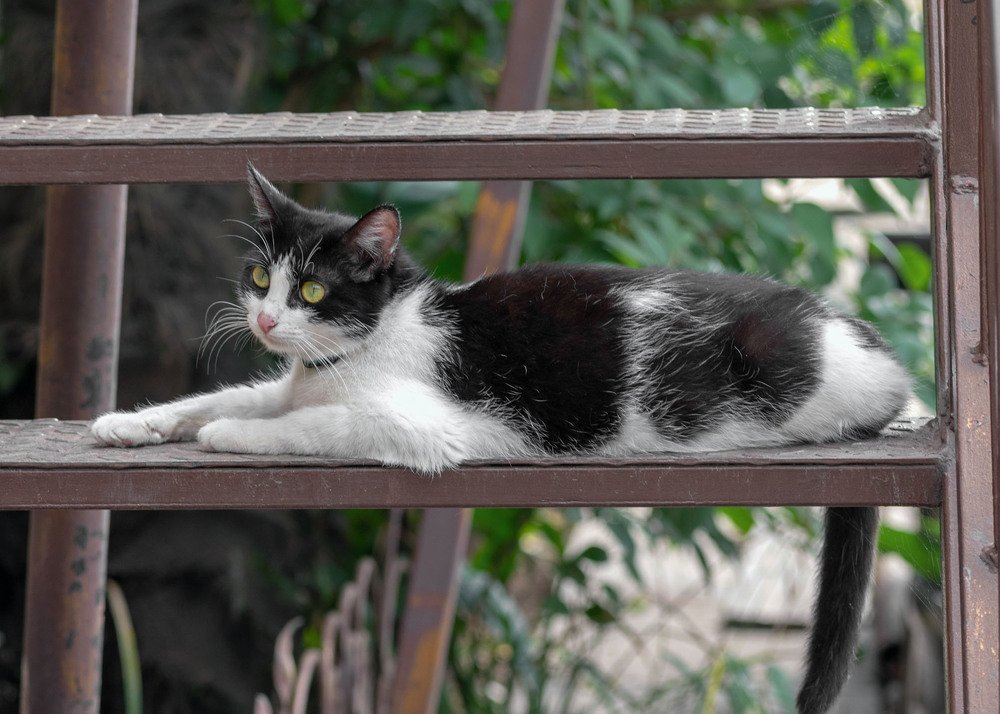 На прогулке