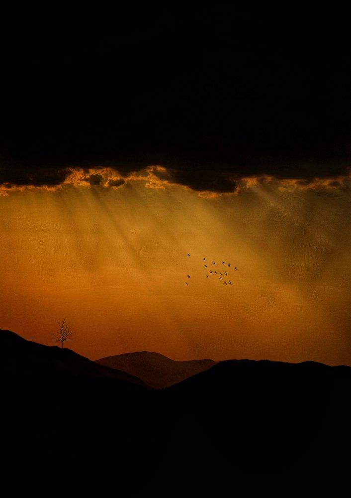 Photograph by Zakarya Ghazizadeh