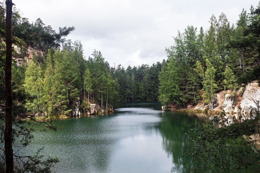 Photograph by Alex Perelman