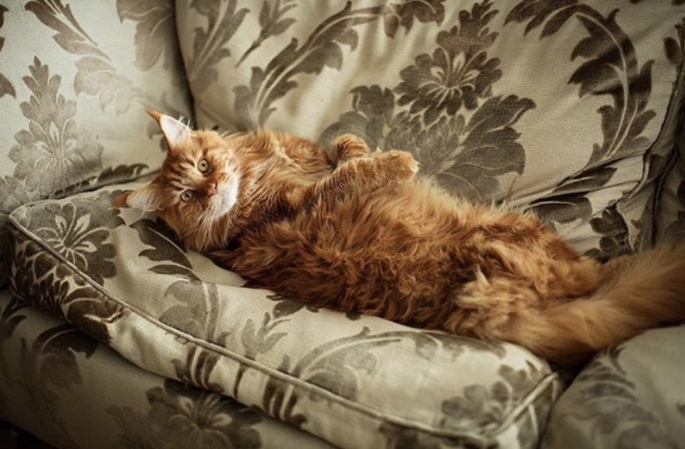 Photograph by Svetlana Karpovich