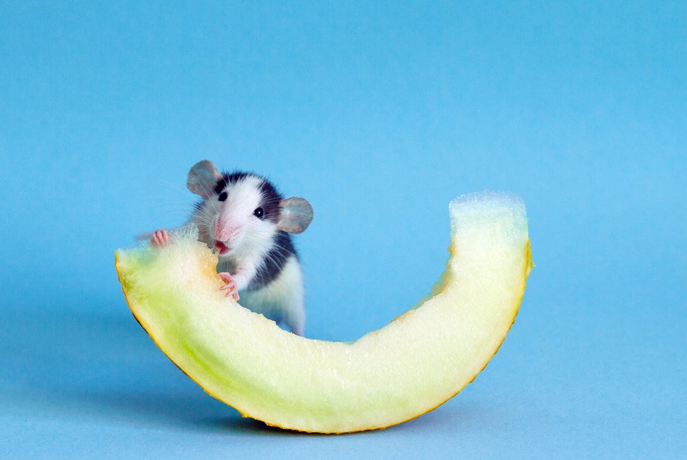 Photograph by Анна Малютина