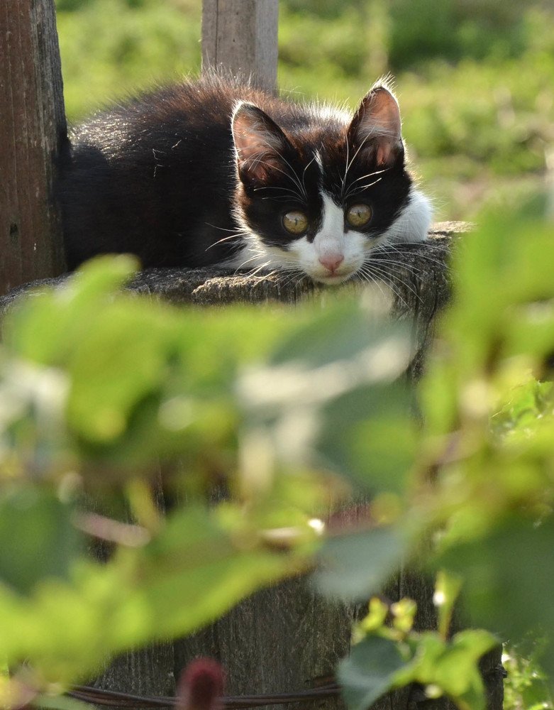 Photograph by Ольга Пацуло