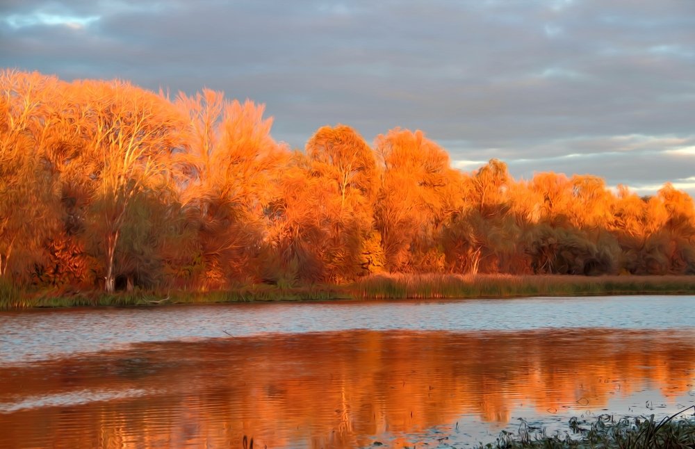 Золотая осень.