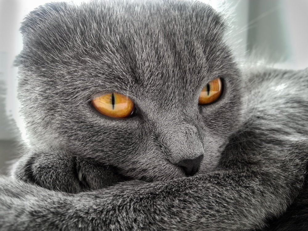 Photograph by Вероника Романенко